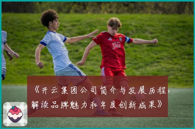 《开云集团公司简介与发展历程，解读品牌魅力和年度创新成果》